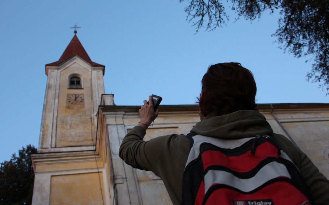 Mednarodna noč netopirjev