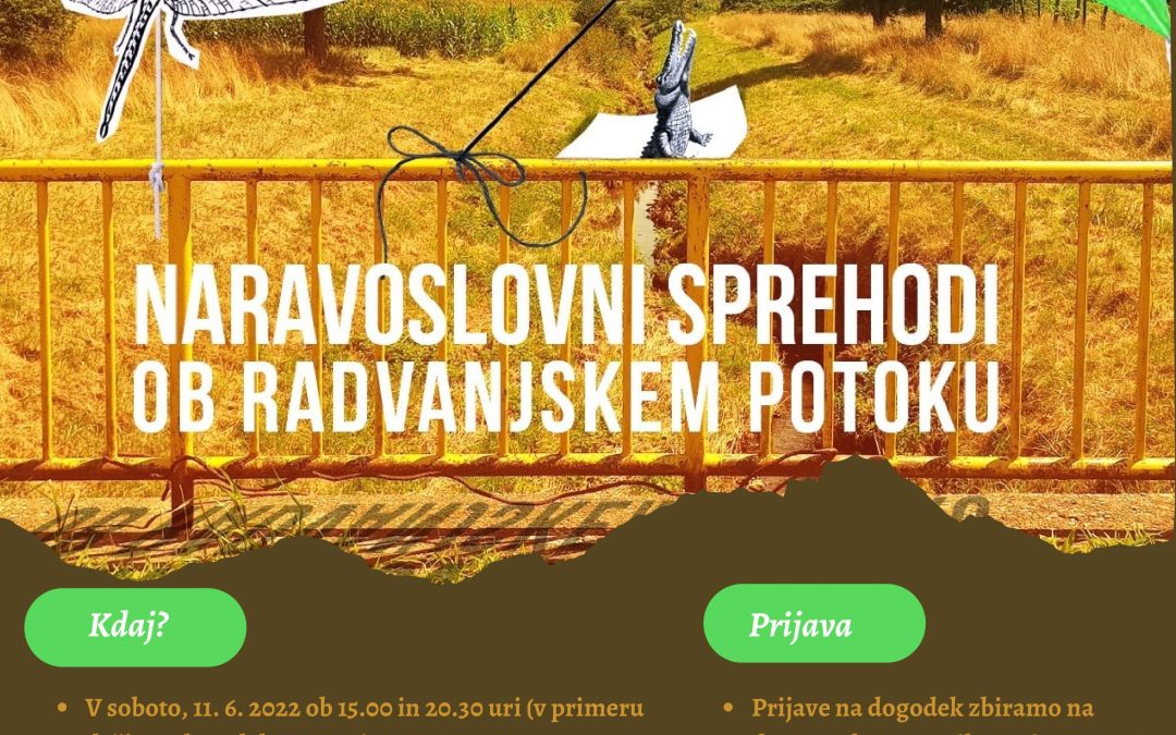 Naravoslovni sprehodi ob Radvanjskem potoku