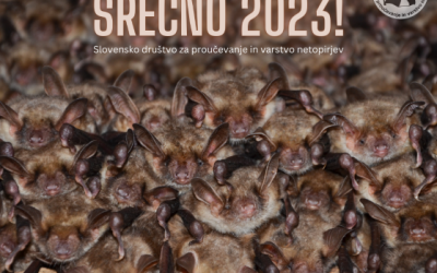 Srečno 2023!