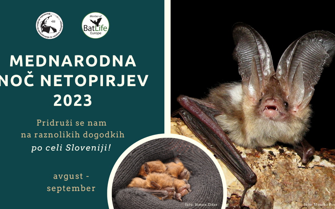 Vabljeni na Mednarodno noč netopirjev 2023