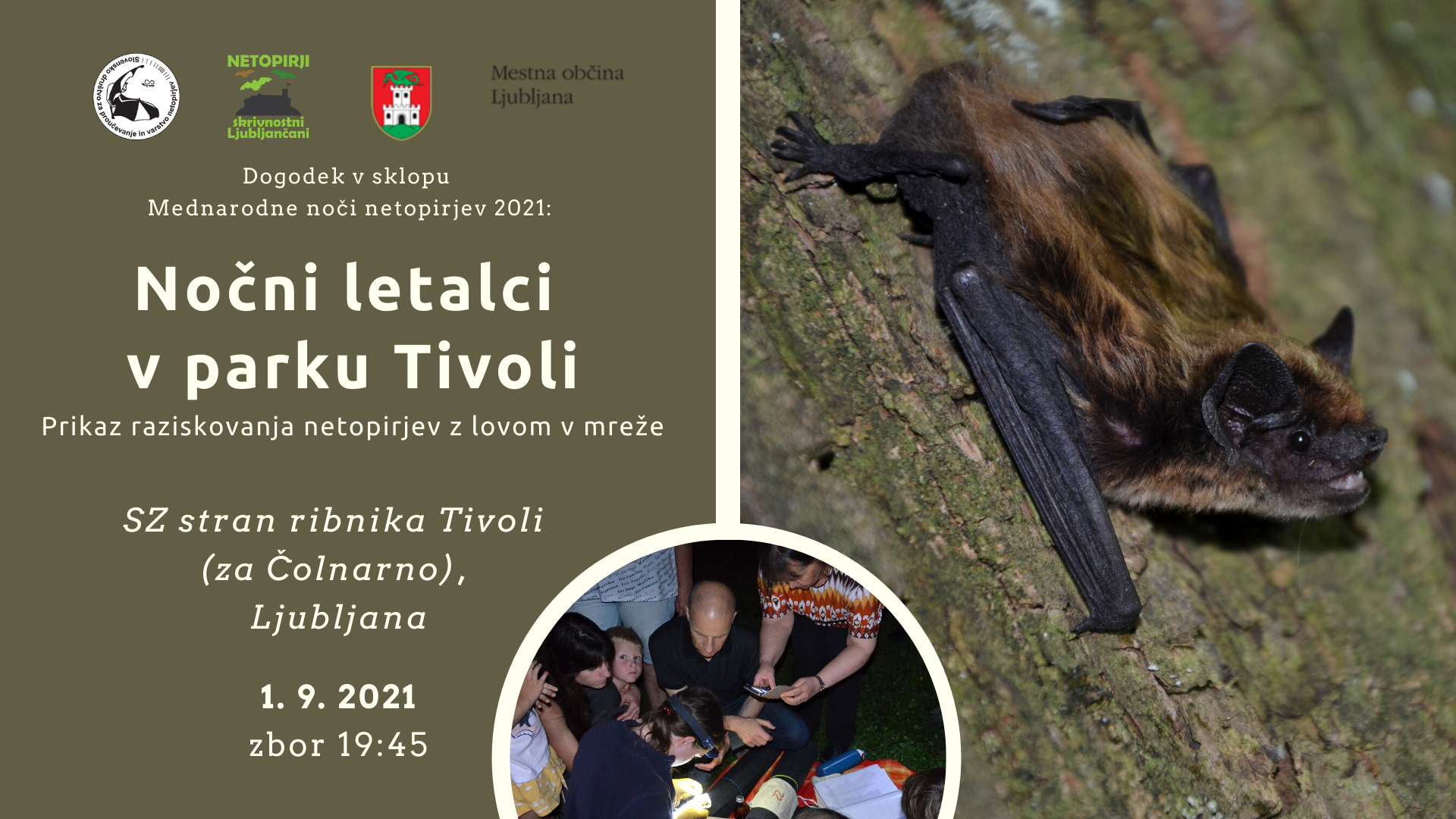 Netopirnice Mrezenje_Tivoli