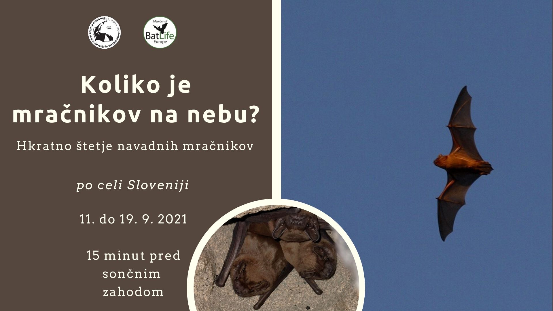 Koliko je mracnikov na nebu Mrezenje_Tivoli