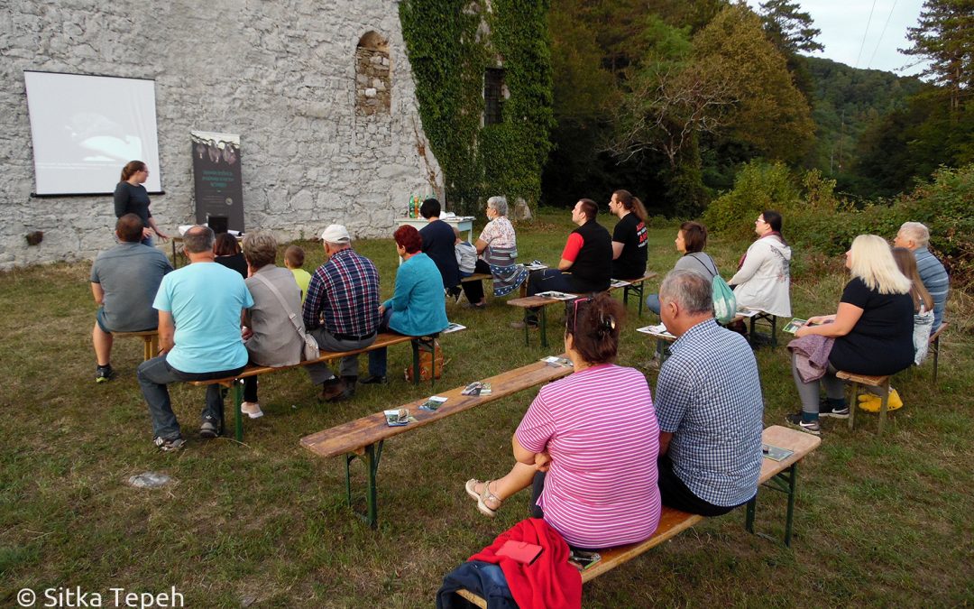 Mednarodna noč netopirjev v Gornjih Vremah, 4. 9. 2021