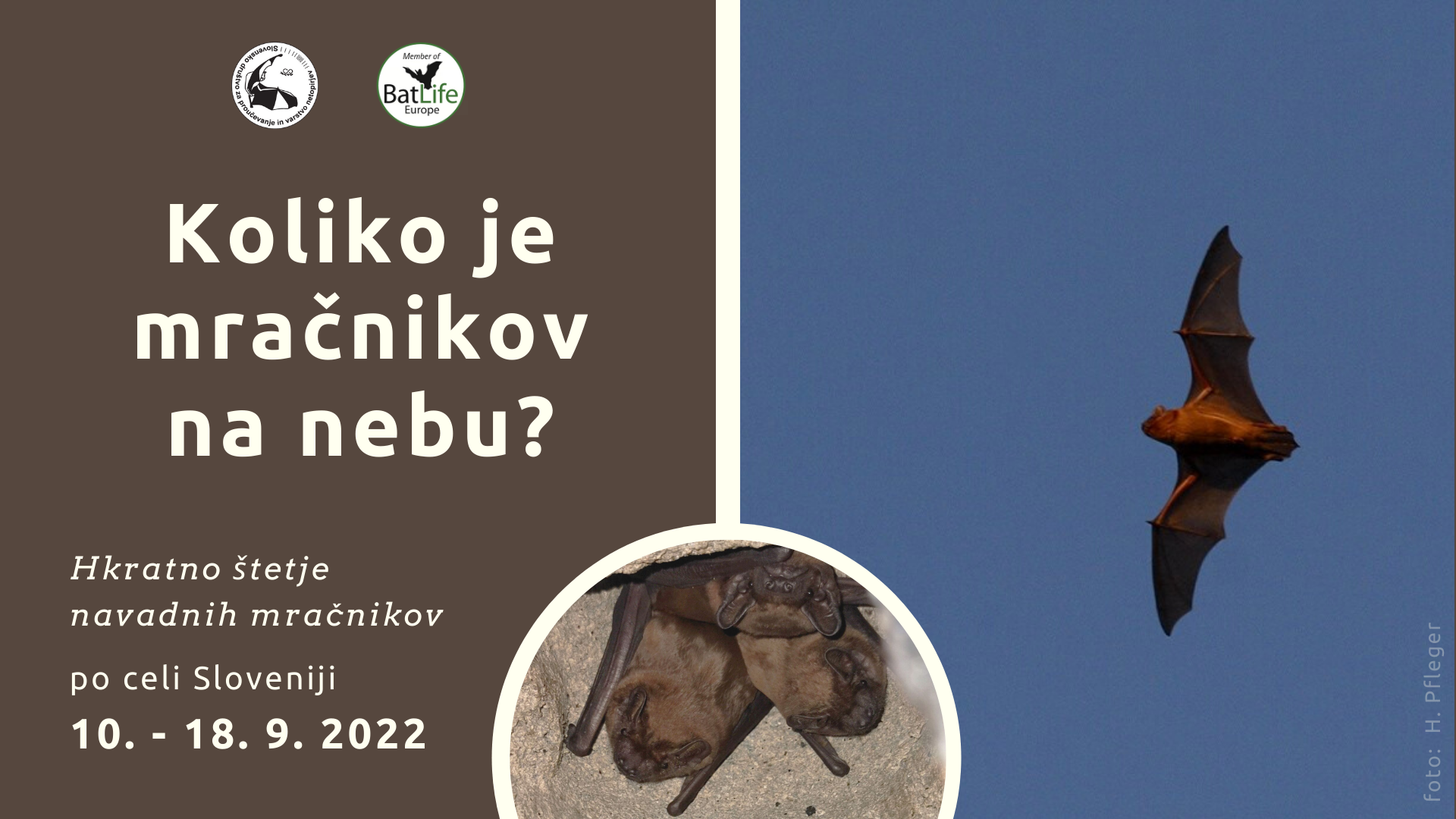Mracniki2022_vabilo Mrezenje_Tivoli