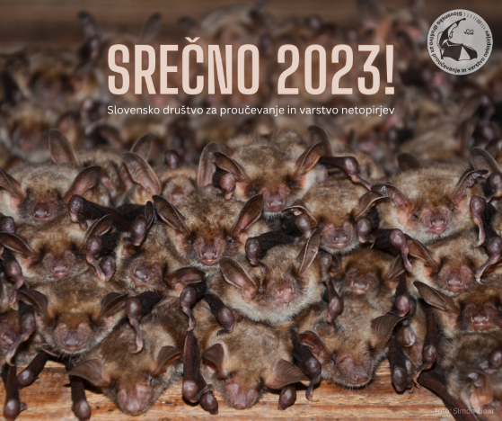 Srečno 2023!