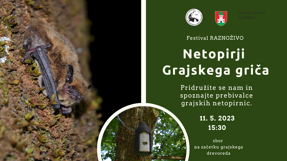 Netopirji grajskega griča – ODPADE