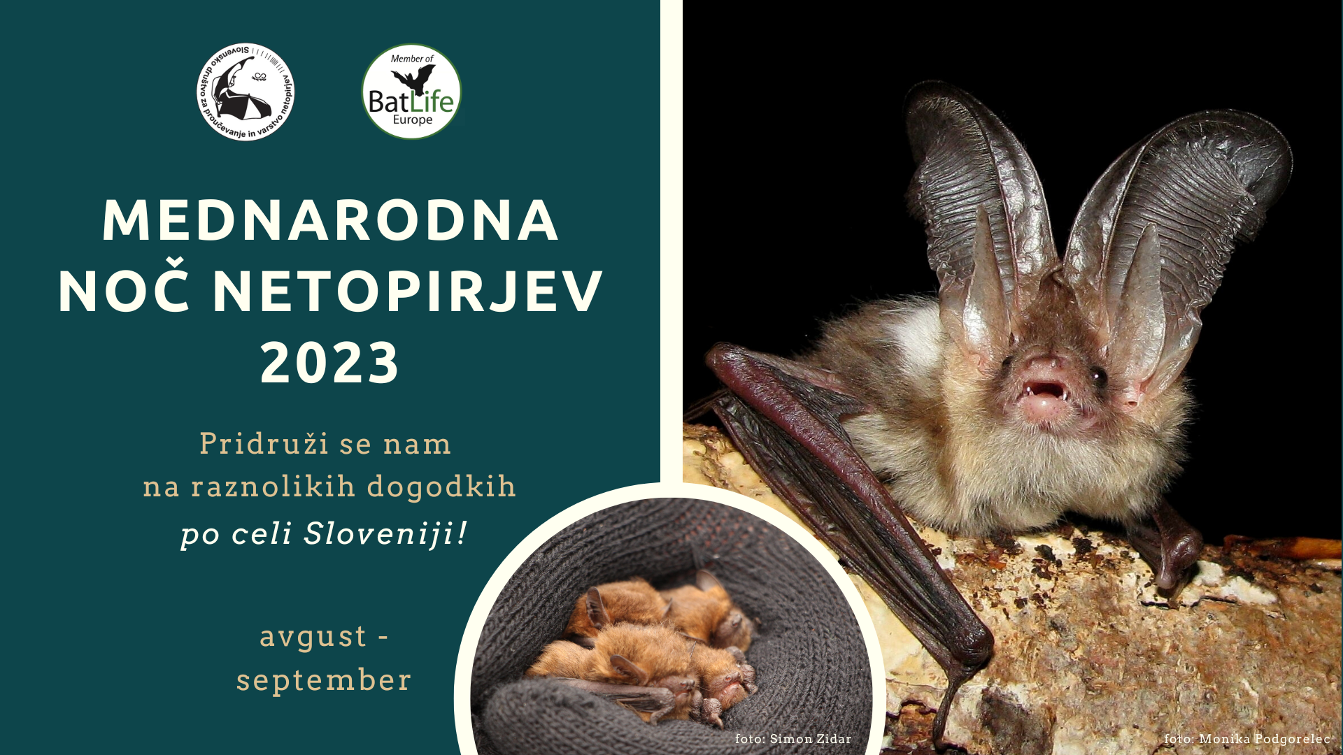 Mrezenje_Tivoli