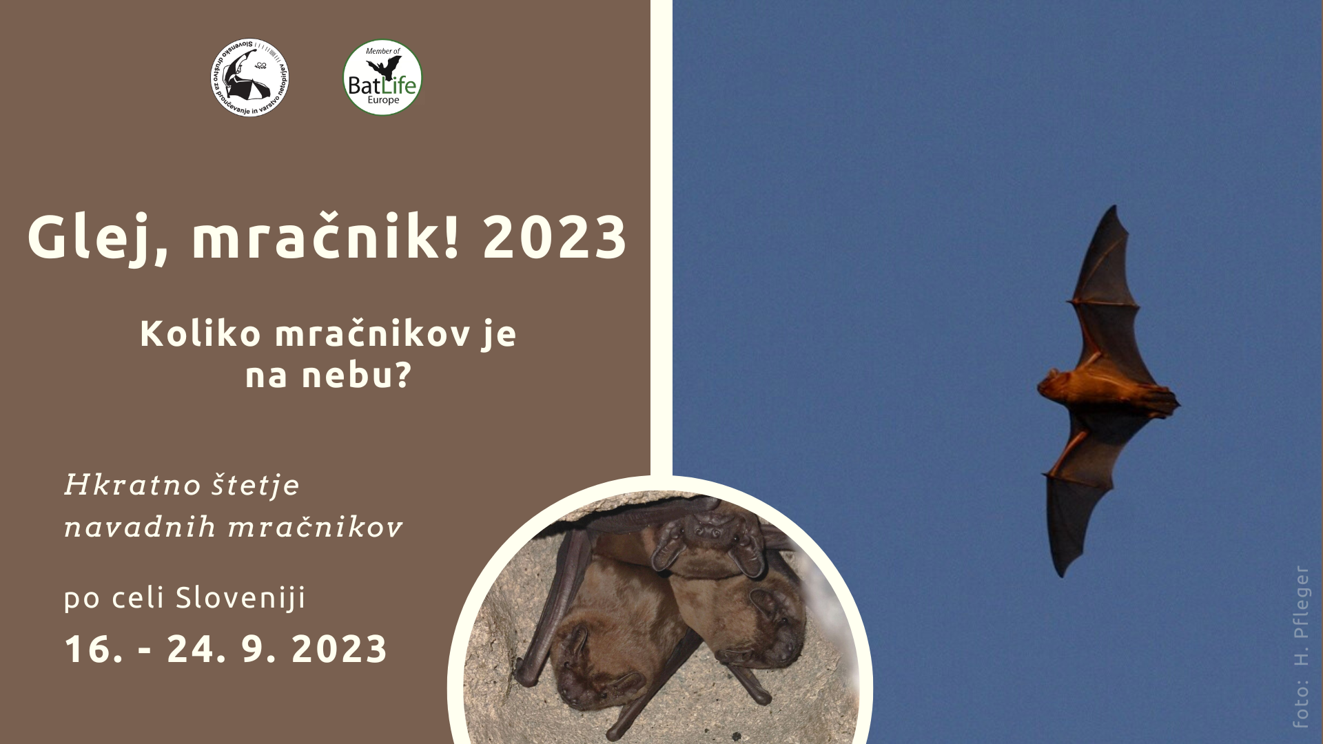 Mrezenje_Tivoli