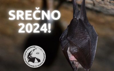 Srečno 2024!